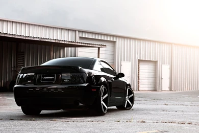 Ford Mustang Cobra Hd Wallpapers   Johnywheels.com