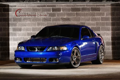 2003 Blue Ford Mustang SVT Cobra, Free Ford Mustang Wallpapers ...