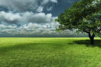 Landscapes   Page 15