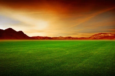 Wallpapers Grass Field Pictures Images Photos 1366x768