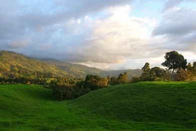 Grass field In Salento 1024x768 Wallpapers,Salento 1024x768 ...