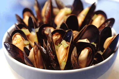 Desktop Wallpapers · Gallery · Miscellaneous · Oysters Food