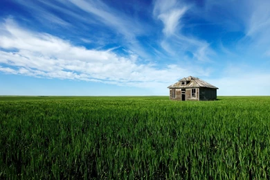 Free HD & 3D Wallpapers: Old House Grass Field Nature HD Wallpapers