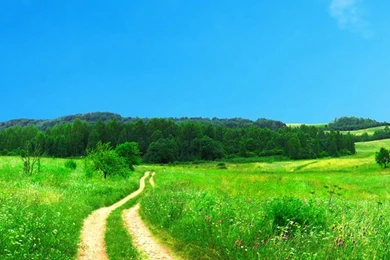 Here's How Girls Deal With Grass Iphone 6 Plus Wallpapers In 2015 ...