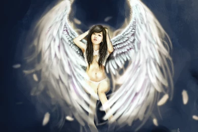 White Angel Wallpapers From Angels Wallpapers