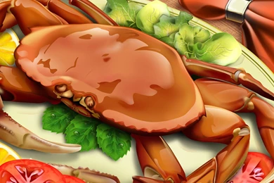 Food HD Wallpapers, Free Download Food Wallpapers Desktop JohnyWheels