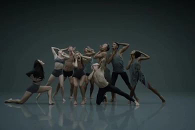 Cinematography Of Taylor Swift "Shake It Off" Jeff Cronenweth