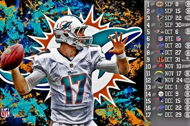 2013 Miami Dolphins Football Nfl Free Desktop Backgrounds And ...
