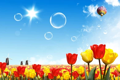 Tulip Field, Balloon, Sun, Bubble, Artistic, 1920x1200 HD ...