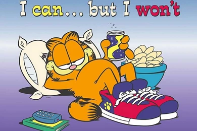 Garfield   I Can...But I Won't: Cartoons Wallpapers   Backgrounds Bandit