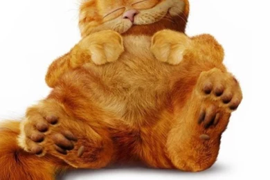 Garfield Wallpapers For iPhone 5