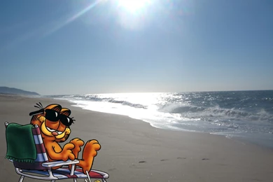 Garfield Widescreen Hd Wallpapers For Desktop Backgrounds Download ...