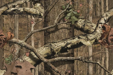 Mossy Oak Camouflage Wallpapers   Wallpapers Zone