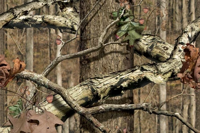 Mossy Oak Wallpapers Download