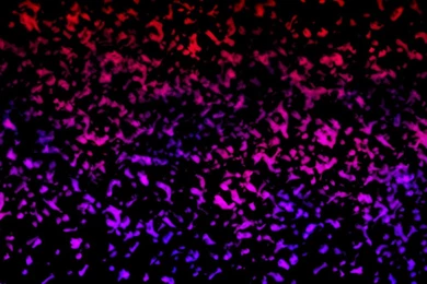 Pink And Red Wallpapers   Wallpapers HD Wide