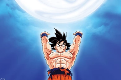 Fonds D'écran Dragon Ball Z : Tous Les Wallpapers Dragon Ball Z