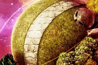 iPhone 5   Anime/Dragon Ball Z   Wallpapers ID: 561263