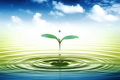 Water Drop Wallpapers Collection (37+)