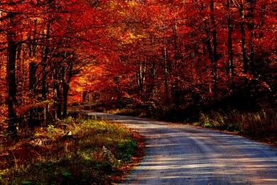Autumn Road Wallpapers For Desktop   Uncalke.com