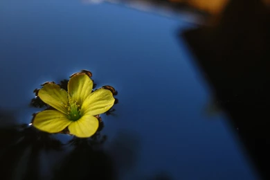 Hd Wallpapers, Iphone Desktop Images, Photoshoot, Amazing ...