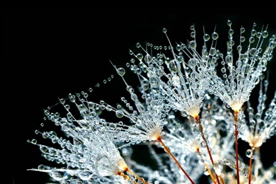 30+ HD Water Wallpapers, Backgrounds, Images