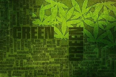 Green Marijuana 1920×1200 Wallpapers 908128