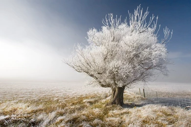 HD New Zealand New Zealand's Mountians And Sea 1600x1200 NO.3 ...