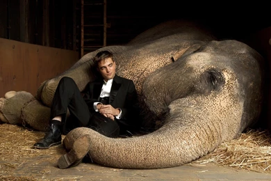 Robert Pattinson 1080p   Wallpaper, High Definition, High Quality ...