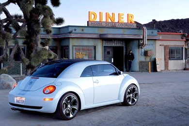 Vw New Beetle Ragster Concept Wallpapers 1600x1200   (