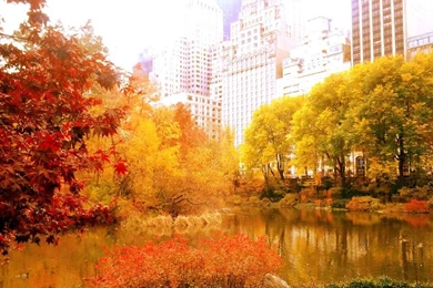 Autumn In New York Wallpapers   Seasonal   Crazy Frankenstein