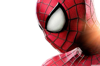 The Amazing Spider Man 2 Wallpapers Full HD [2560x1440]   Free ...