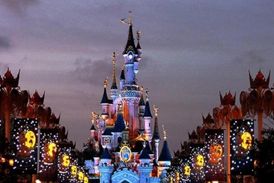 DISNEYLAND PARIS WALLPAPER   (