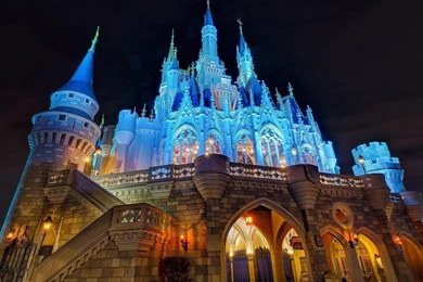 Disney World Disney Castle At Night Castle Disneyland HD ...