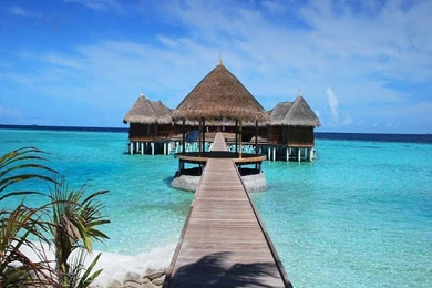 Beach Wallpapers Live   Android Apps On Google Play