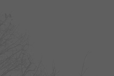 Create.live.love   The MOApp Weblog » Archiv » 12″ MacBook Space ...