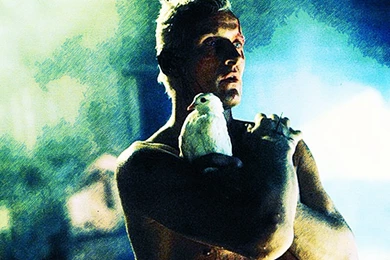 Download Blade Runner Wallpapers 1680x1050