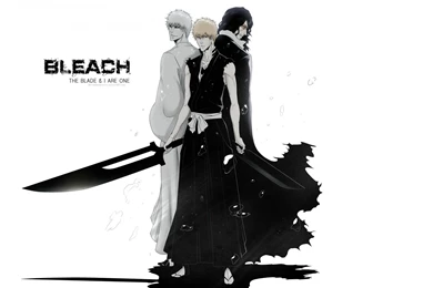 Ultra HD 4K Bleach Wallpapers HD, Desktop Backgrounds 3840x2400 ...