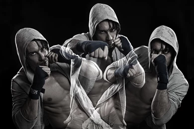 Mixed Martial Arts   Sport Wall.com