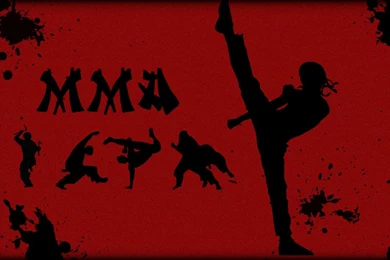 Mixed Martial Arts Wallpapers   Wallpapers Cave