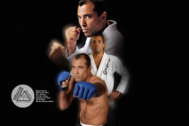 Top Logo Mixed Martial Arts Wallpapers