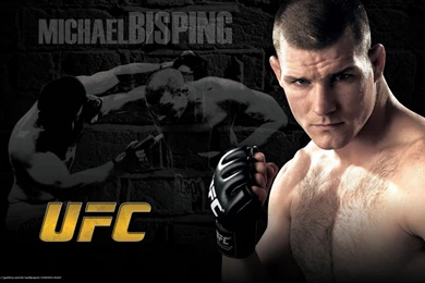 458592_boec_smeshannye boevye iskusstva_graf_majkl_1680x1050_www.Gde Fon.com.jpg