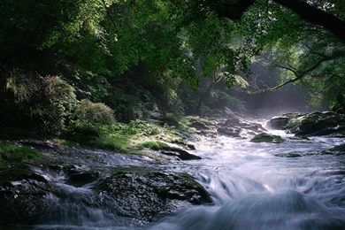 45 HD Beautiful Wallpapers/Backgrounds For Free Download