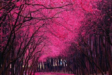 BEGL Spring Collection Inspiration On Pinterest