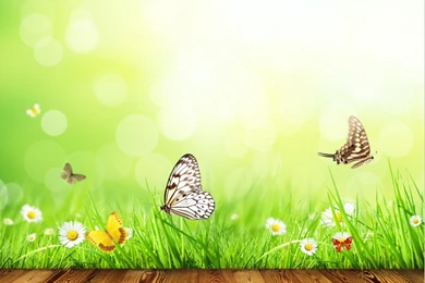 Popular Fairy Tale Background Buy Cheap Fairy Tale Backgrounds Lots ...