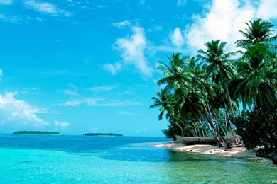 Coconut Island Desktop Wallpapers