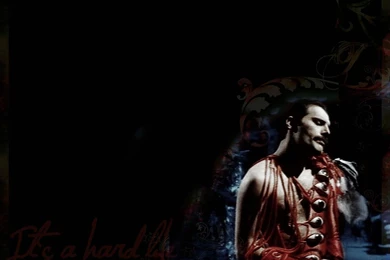 Freddie.   Freddie Mercury Wallpapers (12933304)   Fanpop
