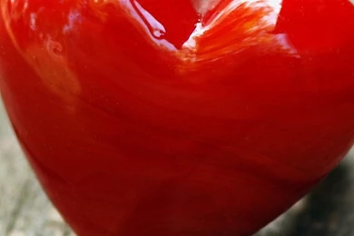 Cherry Love HD Wallpapers   Android Wallpapers Free Download