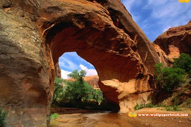 Cool Nature Wallpapers HD   Wallpapers Cave