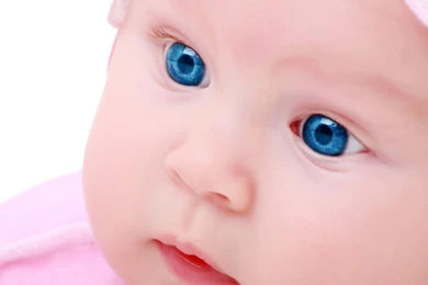 Small Baby Ipad Wallpapers To Download   PetPictures