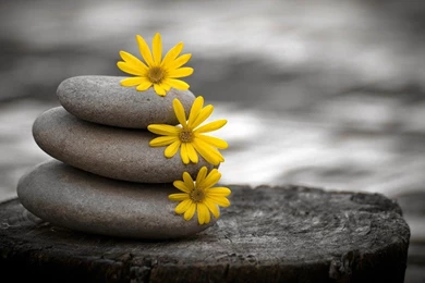 For Your Desktop:::...: Best Desktop Wallpapers (25 Photos)